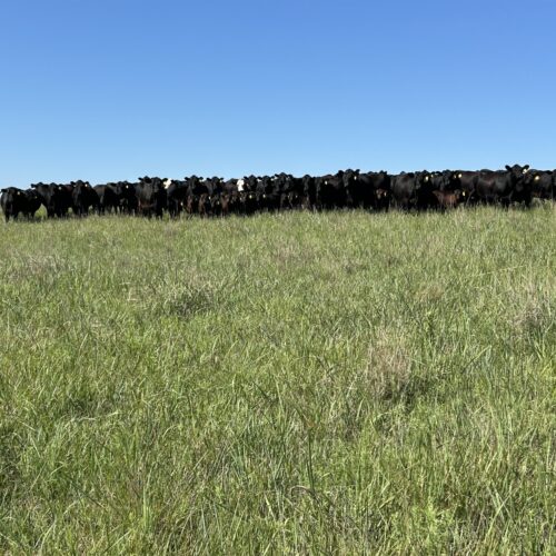 Wilson Ellis Personal Photo